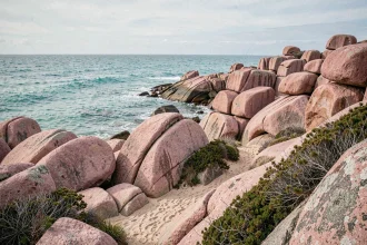 Énormes rochers de granit rose sur le littoral de la Côte de Granit Rose en Bretagne, avec l'océan Atlantique turquoise en arrière-plan